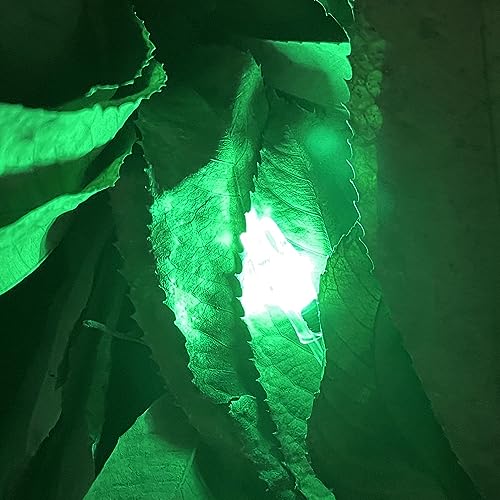 DEEPOWER X Lighted Archery Nocks for Arrows .204 Inside Diameter Lighted Arrow Nocks for 5.2mm Arrows Shafts with ON/Off Switch
