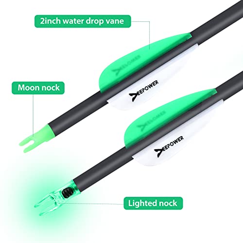 100% Carbon Arrows 31 inch with 6.2mm Lighted Nocks 100Grain Broadheads 6 Pack Spine 350/400/500 with Removable Tips for Compound Bow and Recurve Bow