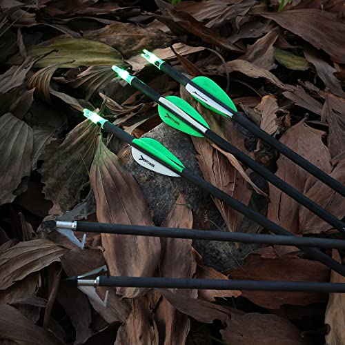100% Carbon Arrows 31 inch with 6.2mm Lighted Nocks 100Grain Broadheads 6 Pack Spine 350/400/500 with Removable Tips for Compound Bow and Recurve Bow