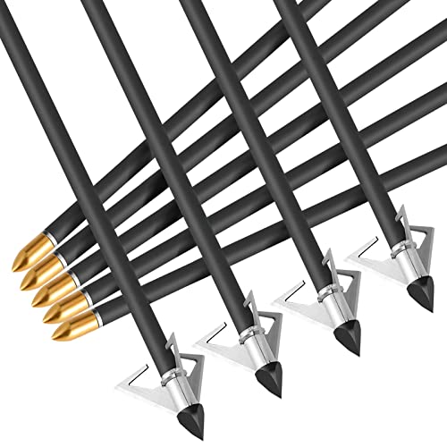 100% Carbon Arrows 31 inch with 6.2mm Lighted Nocks 100Grain Broadheads 6 Pack Spine 350/400/500 with Removable Tips for Compound Bow and Recurve Bow