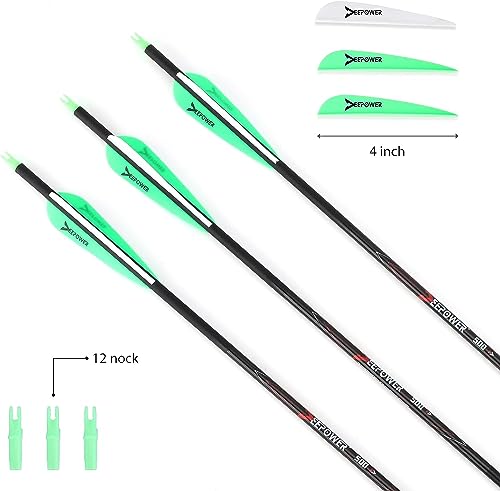 DEEPOWER 30 Inch 12 Pack Carbon Arrows with 6 Pack Lighted Nocks and 12 Pack Replaceable Arrow Tips - Spine 500, for Compound Bow and Recurve Bow Shaft