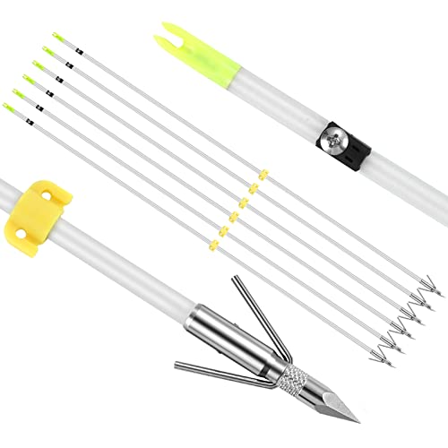 Bowfishing Arrows 6 Pack with Broadheads and Safty Slides 32 inches Archery Fiberglass for Compound Bow Recurve Bow Fishing Hunting