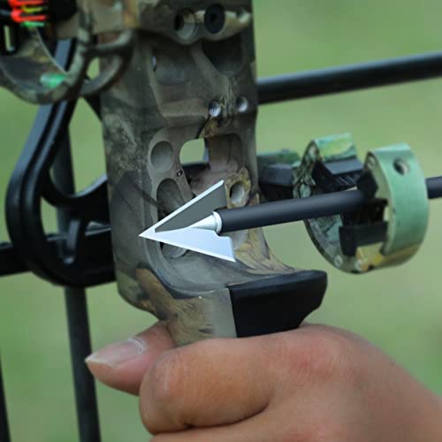 DEEPOWER Broadheads 100 125 Grain 6 Pack Solid 3 Blades, Fixed Archery Broadheads for Compound Bows and Tradtional Bows